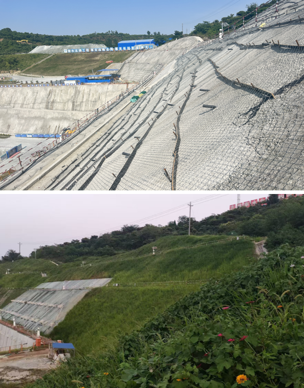 1733445264437061019.png image.png