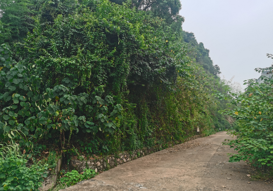 1740644318638017987.png image.png