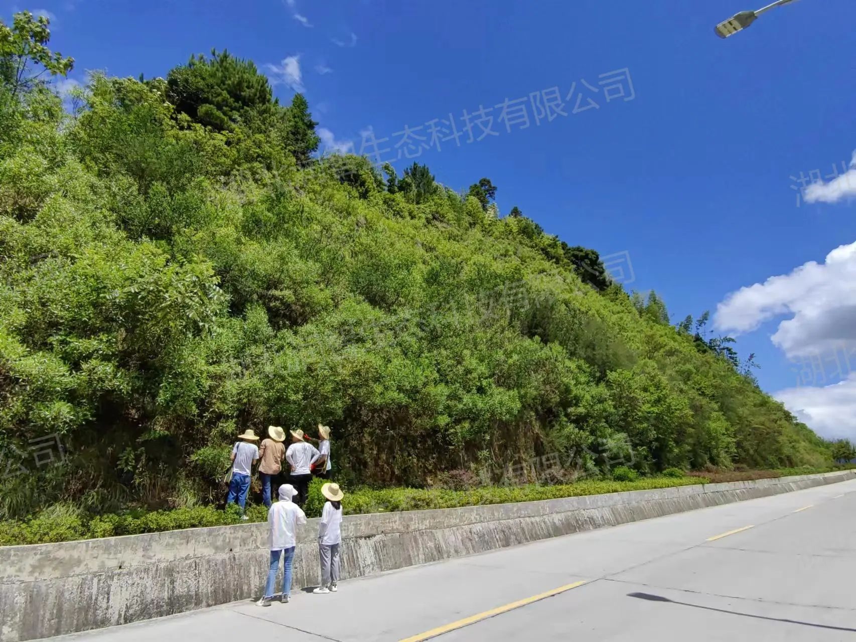 1754273474713027980.jpg a29bc215f46fd4d2081017c96609b3f6.jpg